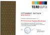 континент тв в дмитровском